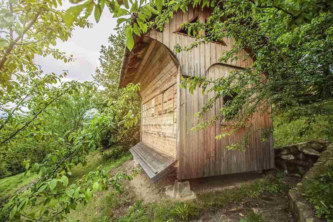 sheds-assembly